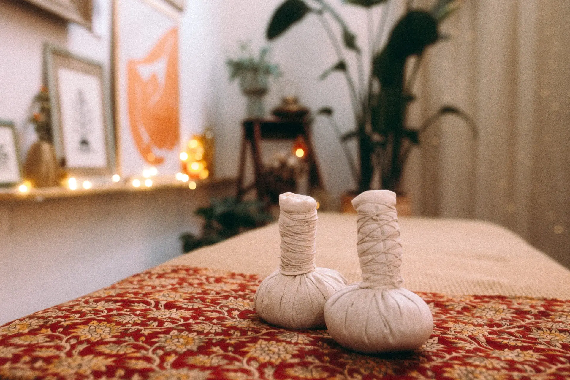 Maison Ananda - Ayurveda, plantes médicinales, massages et soins près de Blois
