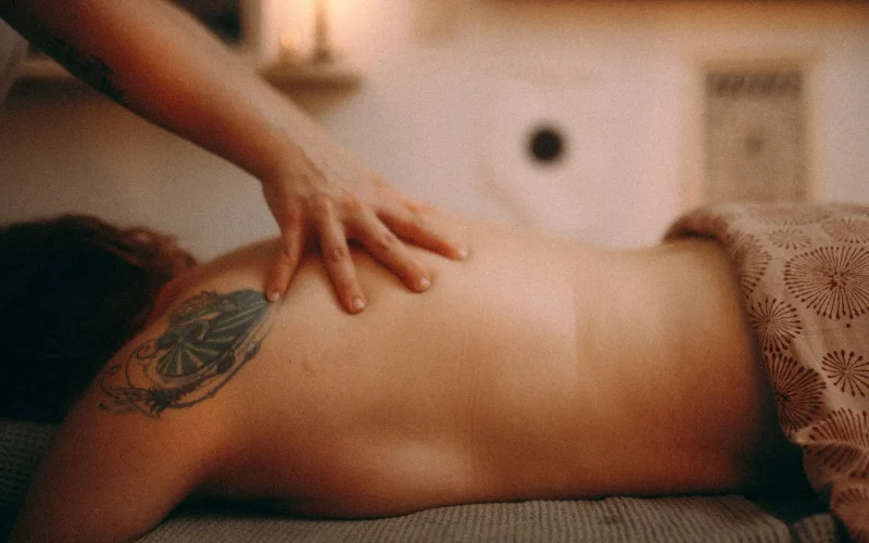 Maison Ananda - Ayurveda, plantes médicinales, massages et soins près de Blois